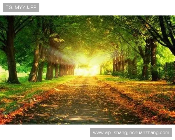 网赌pg游戏是什么意思以及相关法律法规对这类游戏的监管与处罚措施