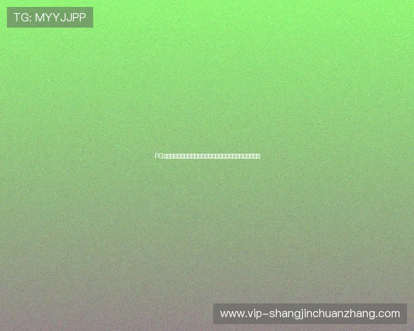 PG娱乐电竞官网加强平台安全措施，保障玩家个人信息与资金安全